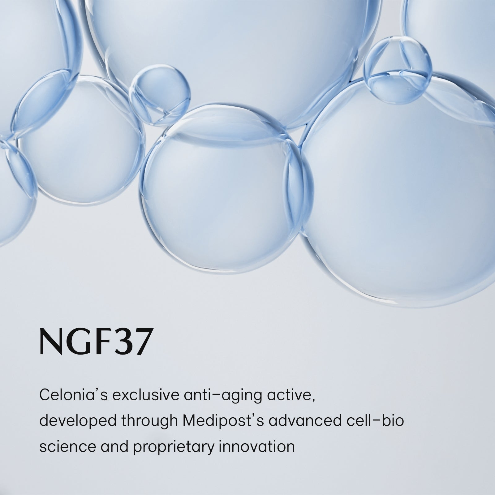 Blue bubbles with text about NGF37, a Celonia anti-aging active ingredient.