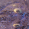 Close-up of shimmering liquid with swirling textures and glowing particles, creating a luxurious and scientific skincare effect.